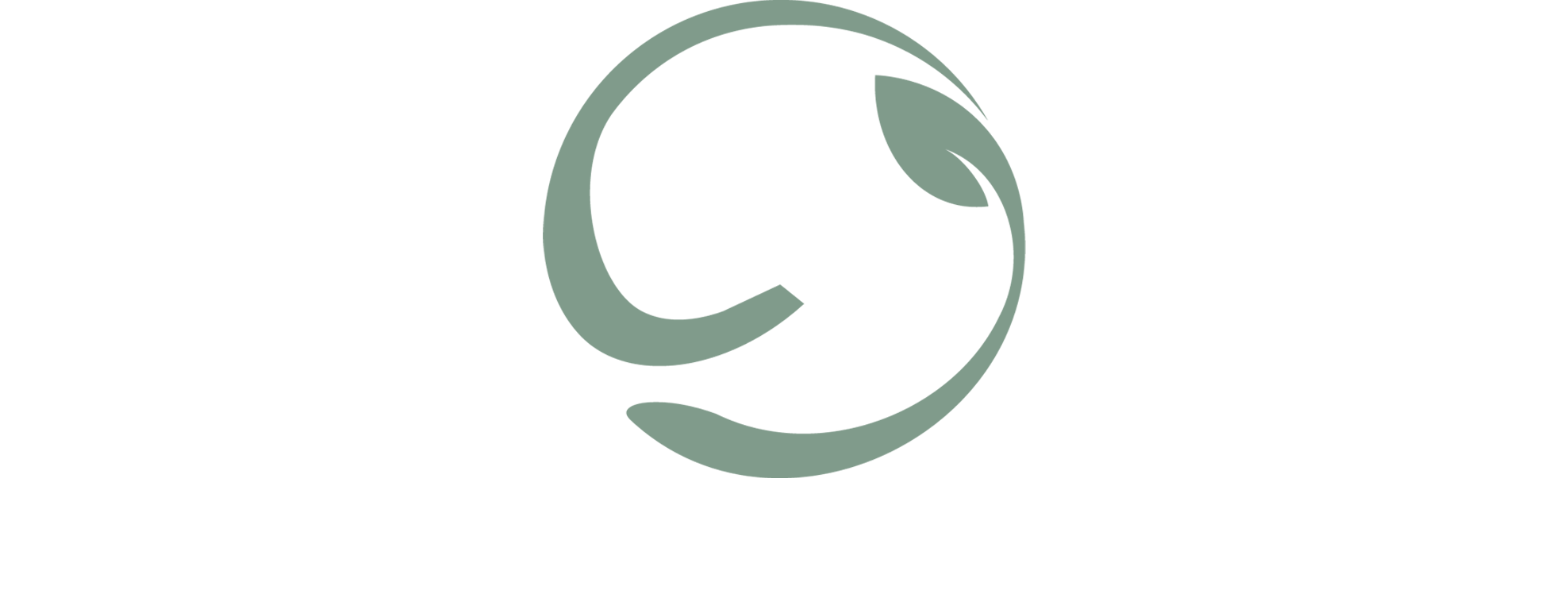 Total Healing Therapeutic Massage